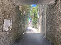 IMG_0723