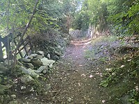 IMG_0825