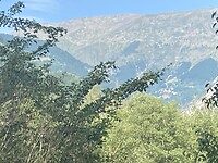 IMG_1241