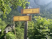 IMG_1246