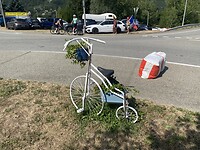 IMG_1421
