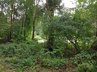 20180904_124313