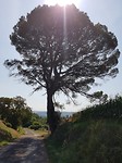 20180916_141302