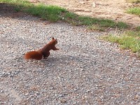 20180920_094858