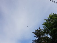 20180921_124253