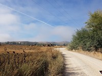 20180922_101243