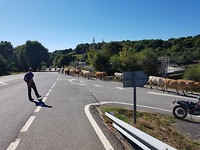 20180925_170103