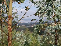 20180928_121728