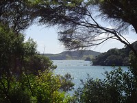 DSC03532