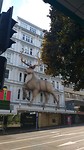 IMG-20190112-WA0002