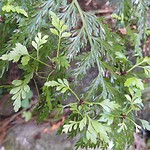 20190113_120204