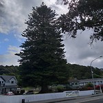 20190114_161737