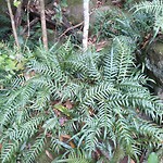 20190115_101602