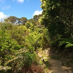 20190115_112230