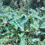 20190115_120403