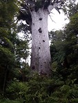 IMG-20190117-WA0001