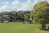 Auckland008