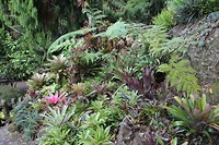 Auckland016