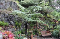 Auckland017