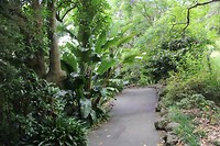 Auckland021