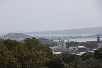 Auckland026