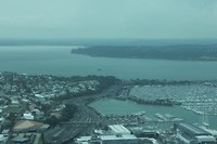 Auckland036