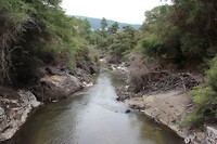 wairakei003