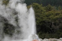 wairakei008