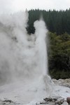 wairakei010
