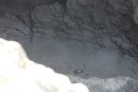 wairakei015