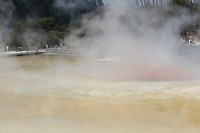 wairakei022