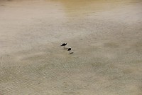 wairakei023