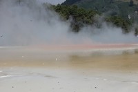 wairakei025
