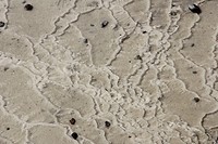 wairakei028