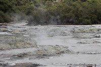 wairakei034