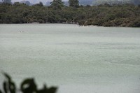 wairakei038