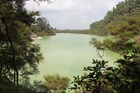 wairakei040