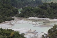 wairakei046