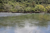 wairakei059
