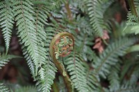 wairakei060