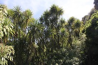 Hukafalls008