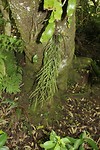Hukafalls017