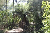 Hukafalls019
