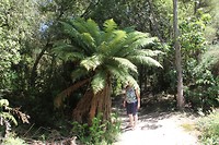 Hukafalls022