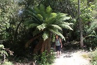 Hukafalls023