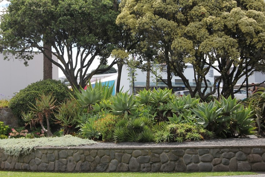 Napier006