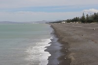 Napier008