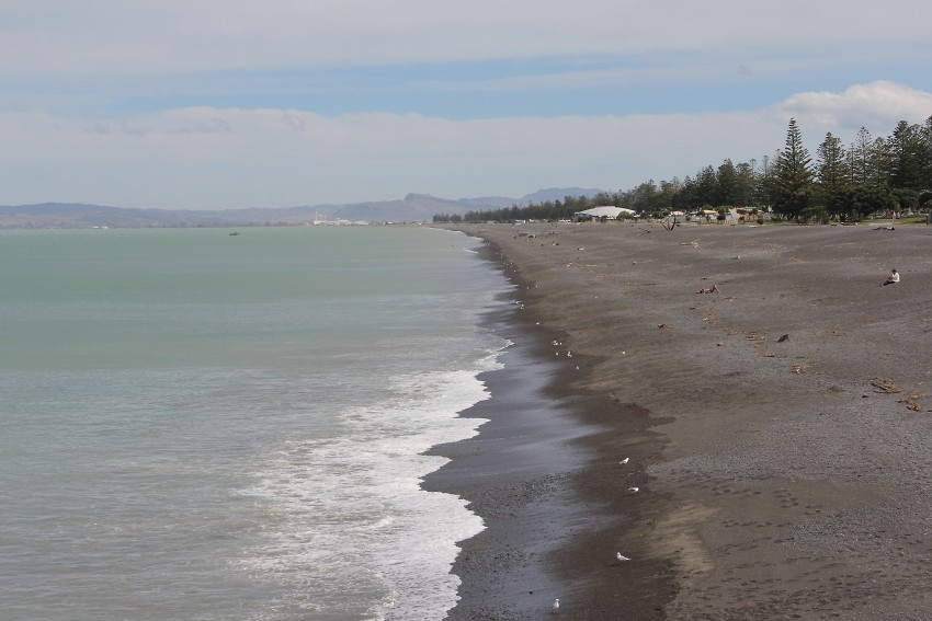 Napier008