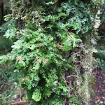 20190127_130710