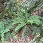 20190127_124827